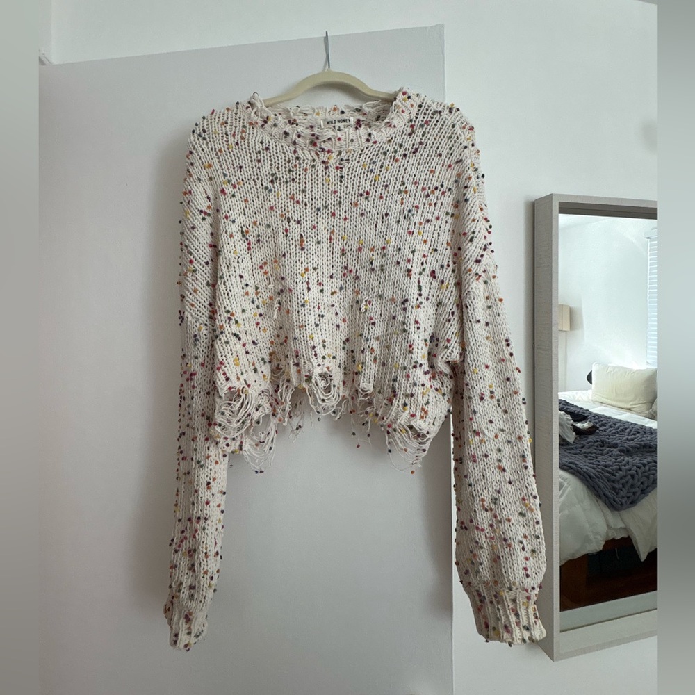 Wild Honey Multicolor Speckled Knit Sweater